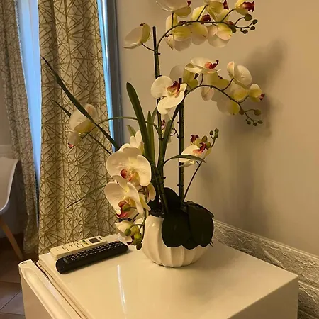 בית הארחה Domus Prati רומא